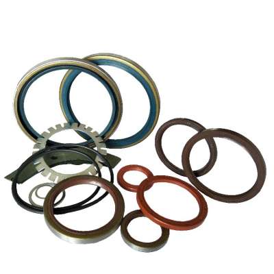 standard and nonstandard TBGL135*160*15 molded silicone rubber oil seal